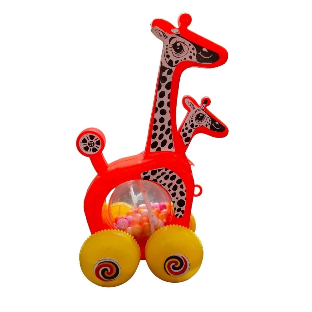 kangaroo With joeys – 1+ Years