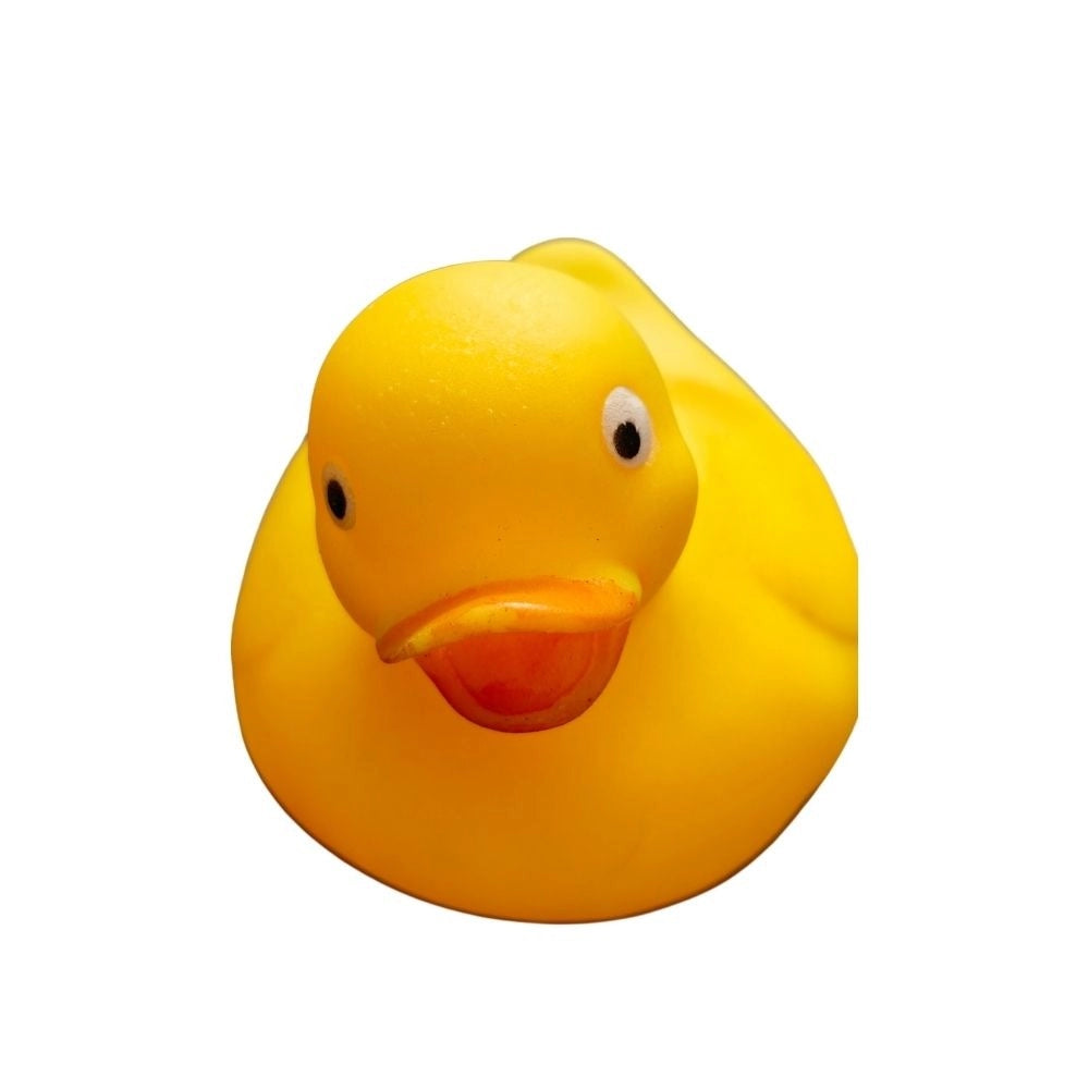 Lamp-Kitten-Duck-Bear Mixed Chu Chu Toys – 6+ Months