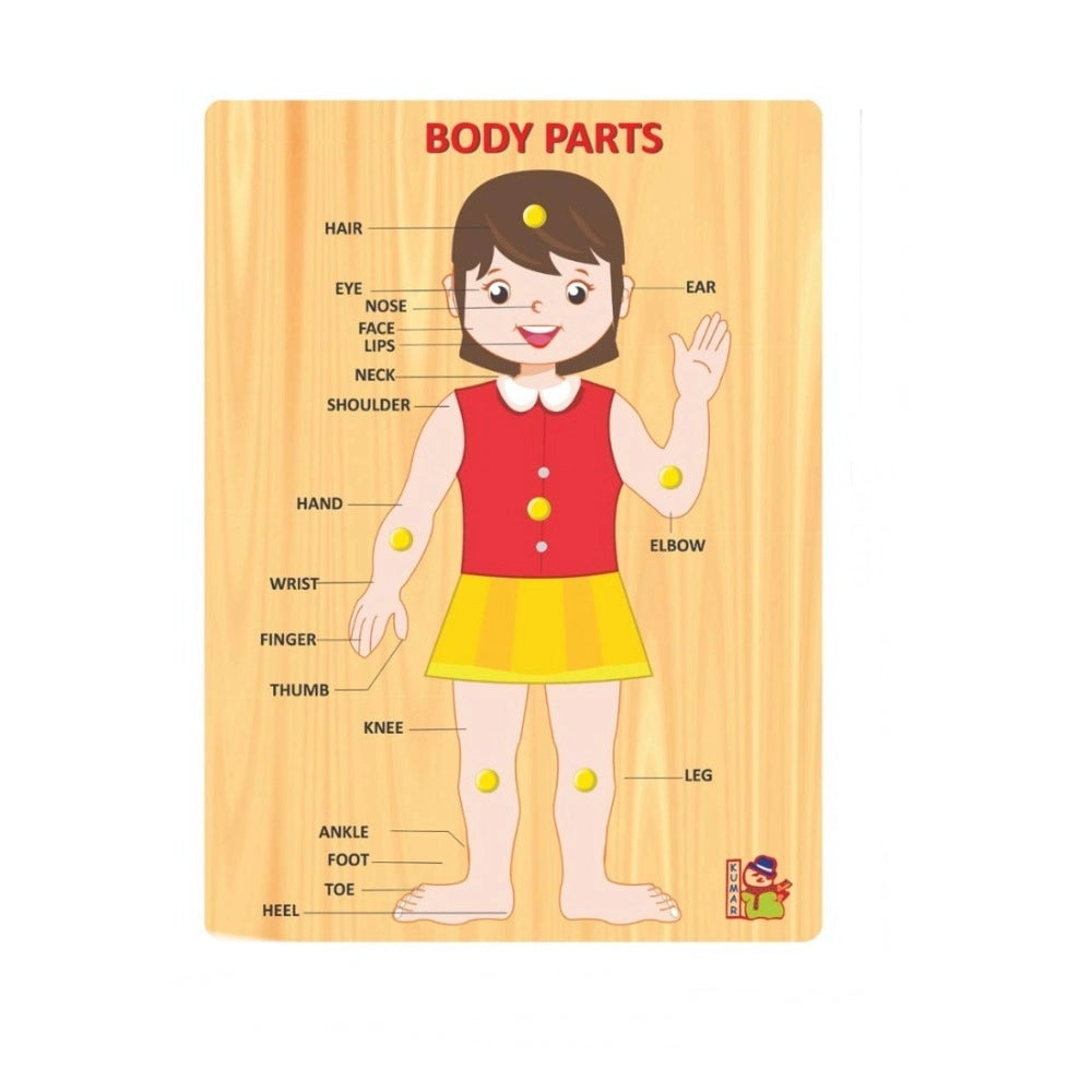 Body Parts – 3+ Years