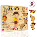 Wooden Puzzle - Body parts – 3+ Years