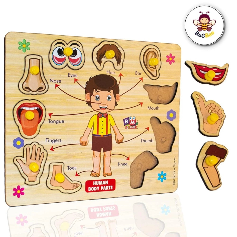 Wooden Puzzle - Body parts – 3+ Years
